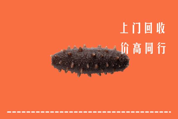 高价求购：北流市回收海参